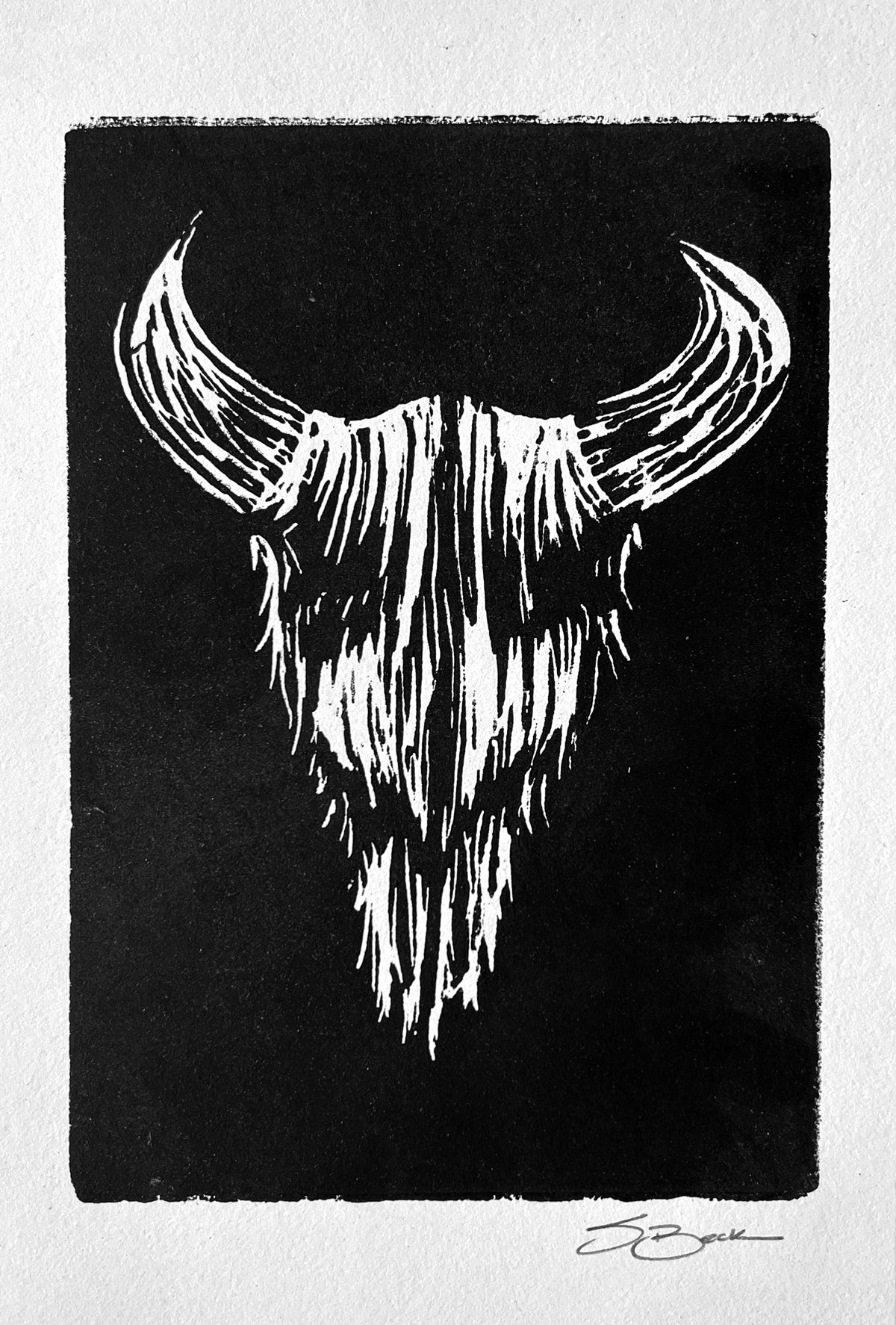 Bison Skull Woodcut